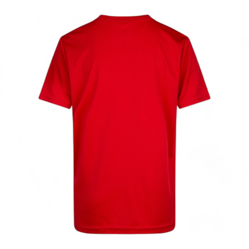 Jordan Jumpman Logo t-shirt