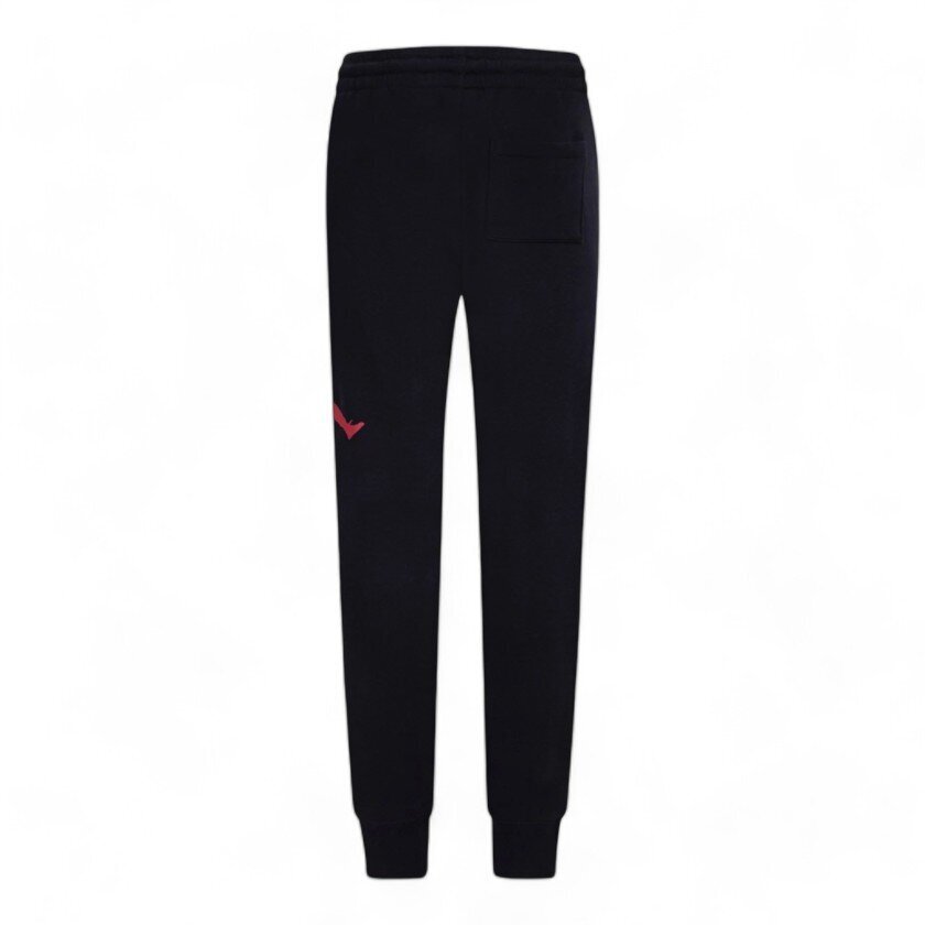 Nike Jordan pantaloni jogging BASELINE